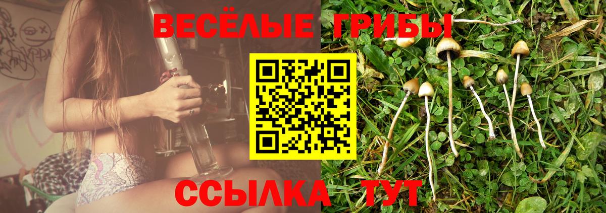 Сергиев Посад  Псилоцибиновые грибы GOLDEN TEACHER  Галлюциногенные грибы мицелий  Вход с VPN 
