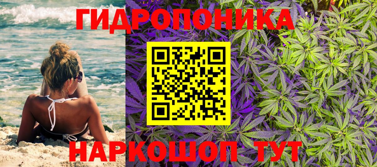 Бошки марихуана SATIVA & INDICA  Вход с VPN  Сергиев Посад  Бошки Шишки VHQ  Шишки марихуана Amnesia 